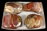 Lot: + Lbs Free-Standing, Polished Petrified Wood - Pieces #92427-1